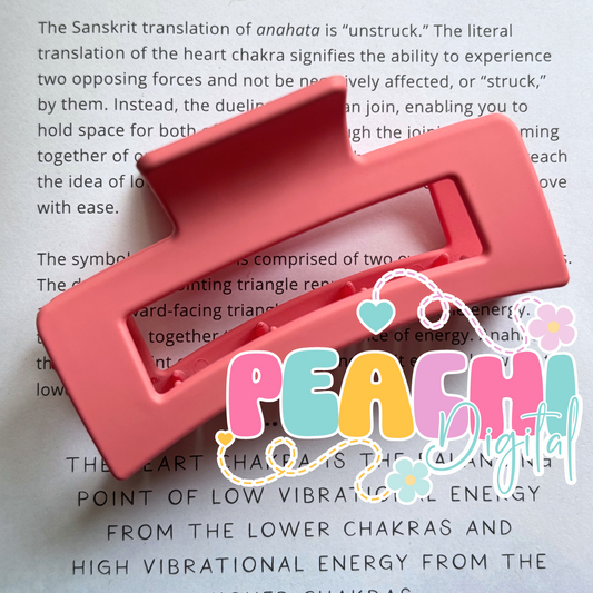 Pink/Red Hair Clip